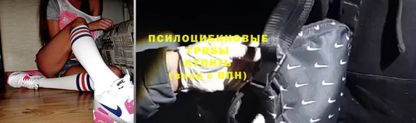 шишки Алексин